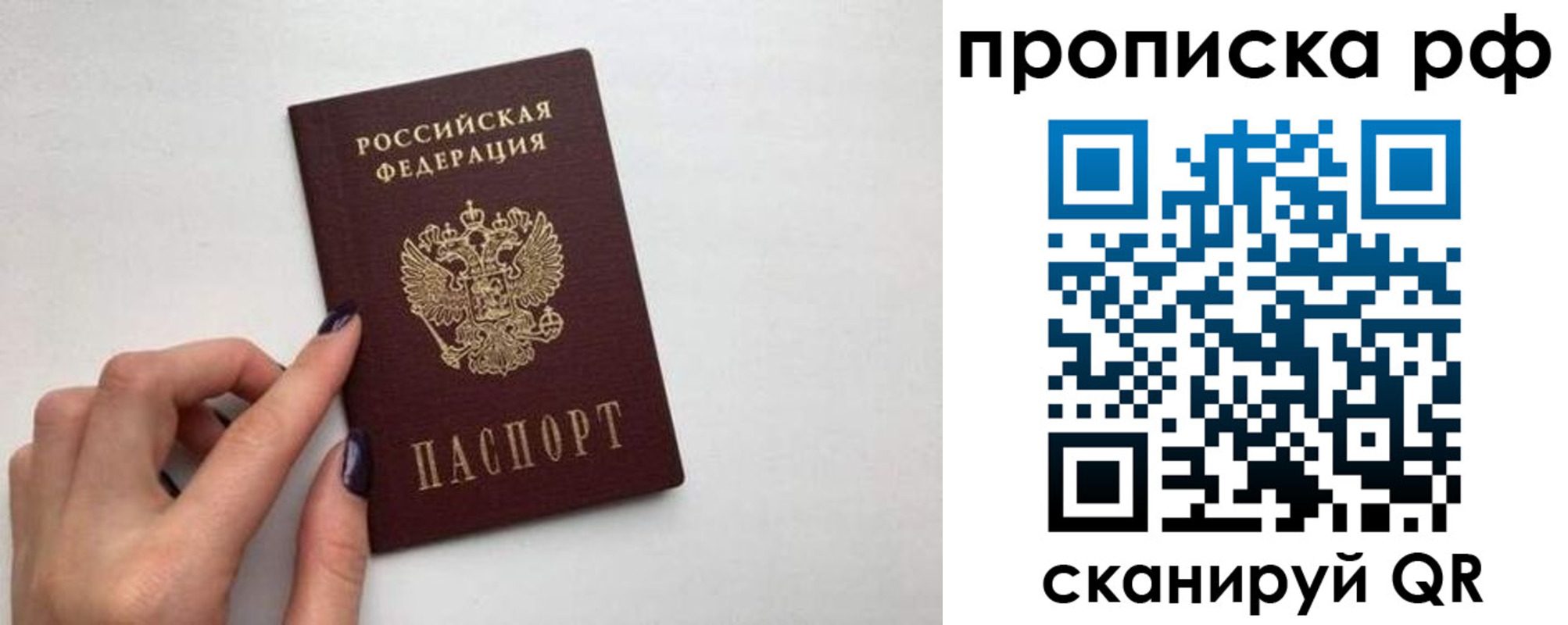 прописка в квартире в Химках
